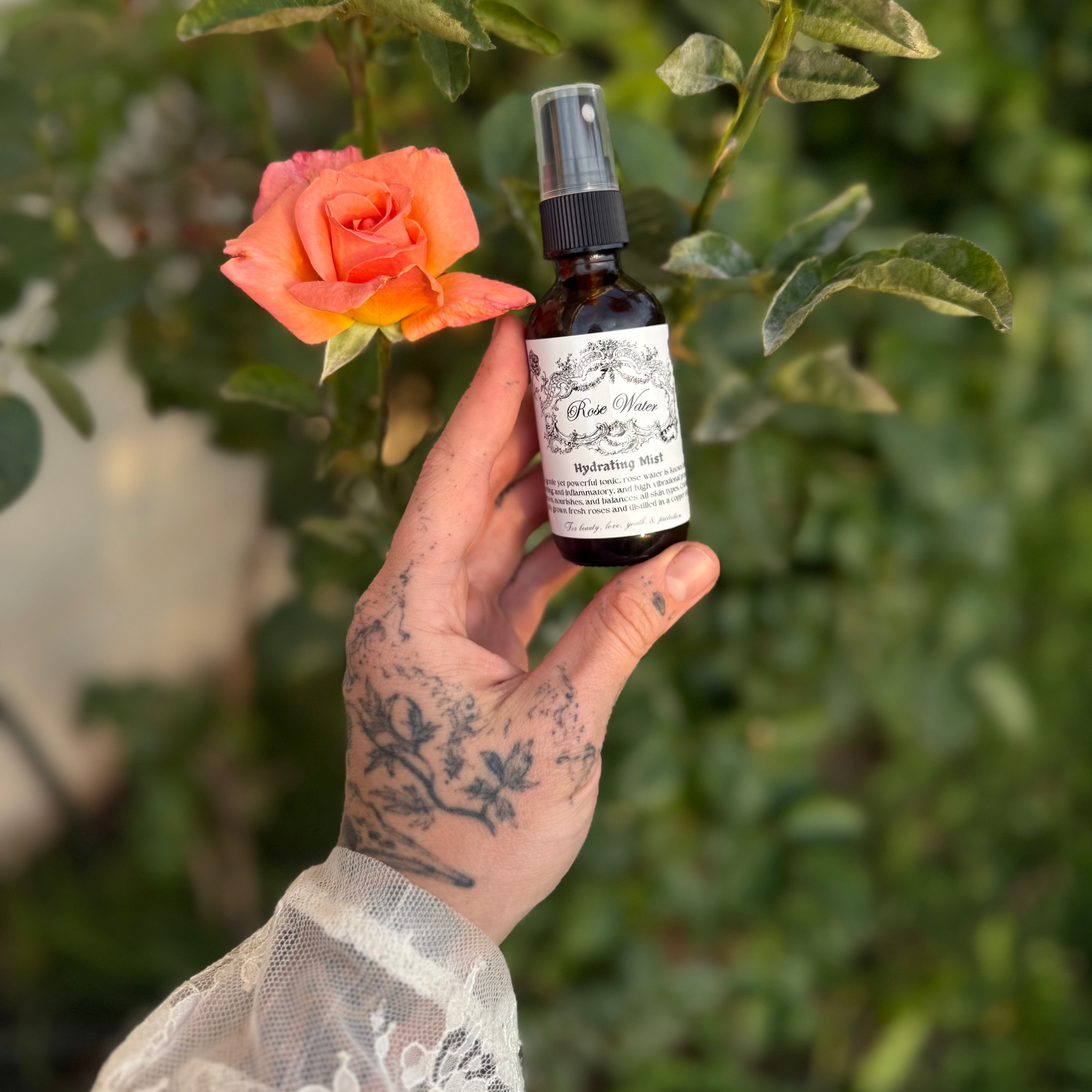 rose vibrational Roses: The Vibrational Healing Power of Love