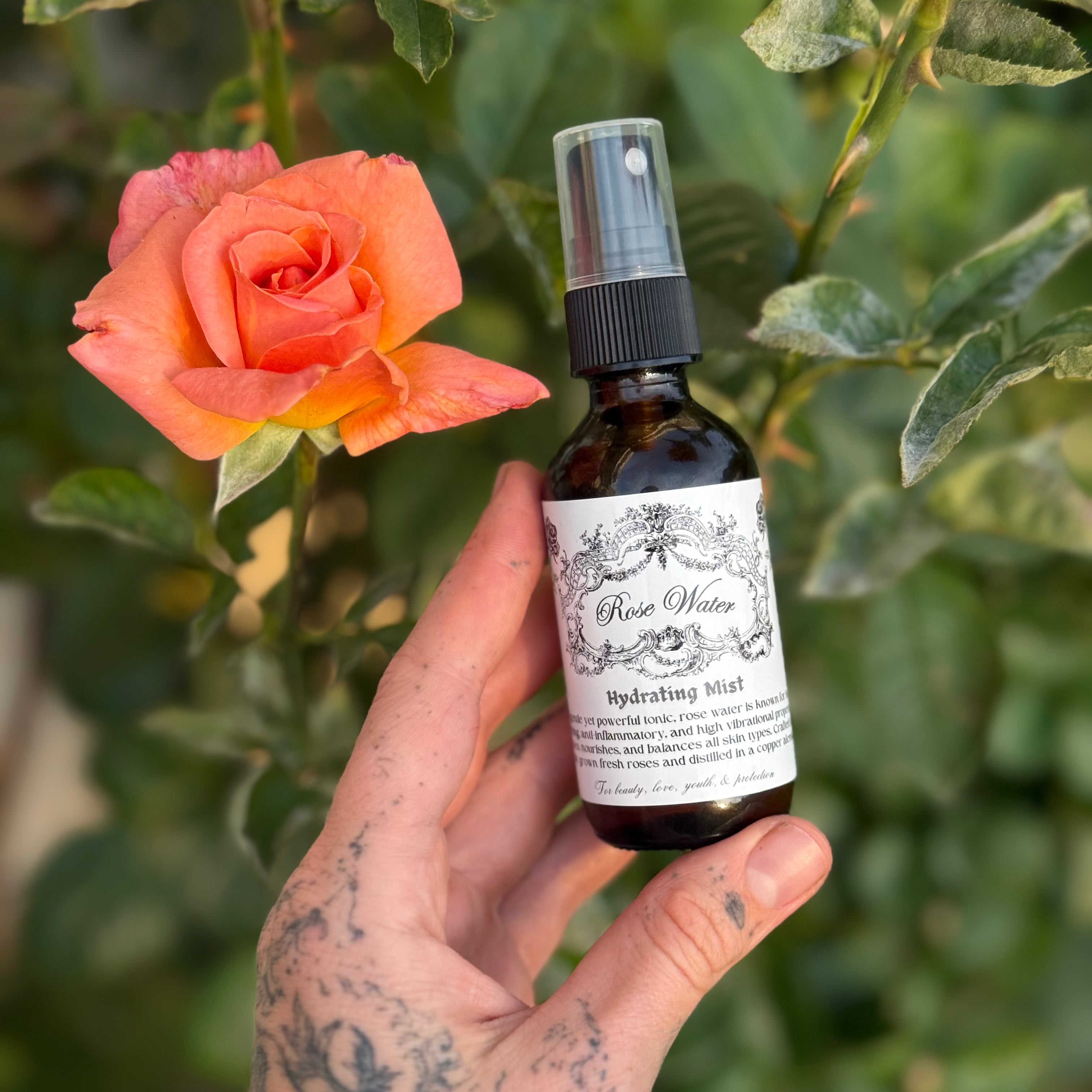 Rose Water